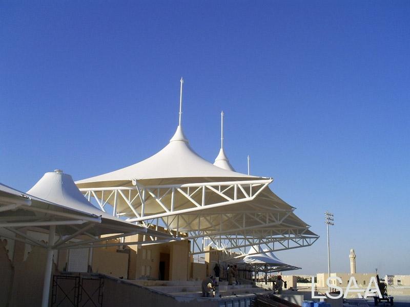 LSAA09DACat22455801